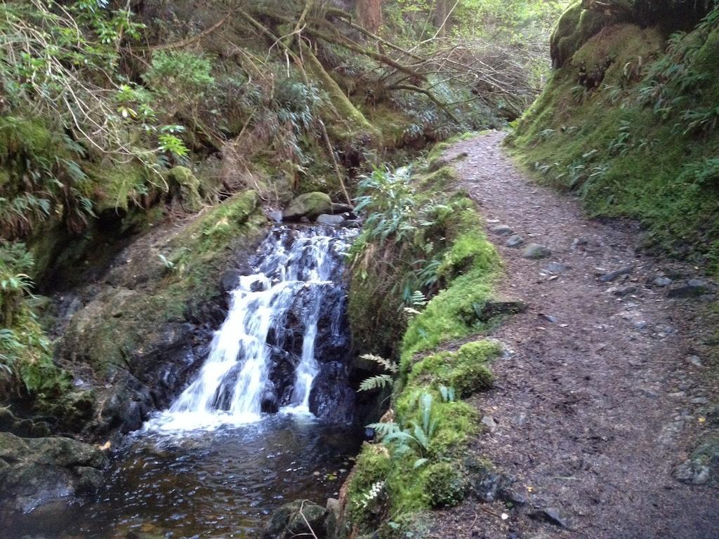 Pucks Glen Lodges, Rashfield, By Dunoon Rom bilde