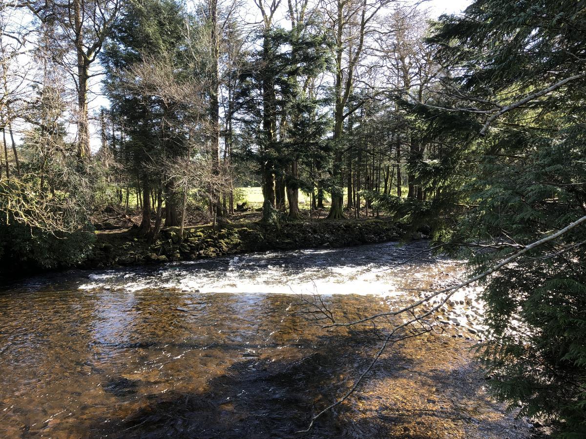 Pucks Glen Lodges, Rashfield, By Dunoon Eksteriør bilde